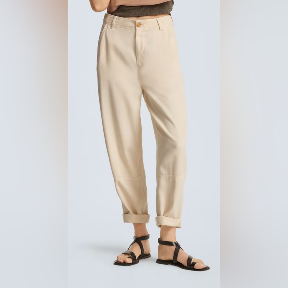 Everlane Buttersoft Chino
